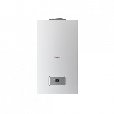 Настенный газовый двухконтурный котел отопления Protherm Гепард 12 MOV