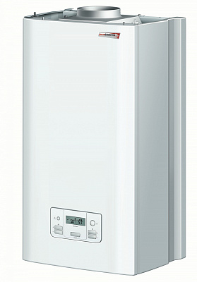 Настенный газовый двухконтурный котел отопления Protherm Пантера 30 KTV