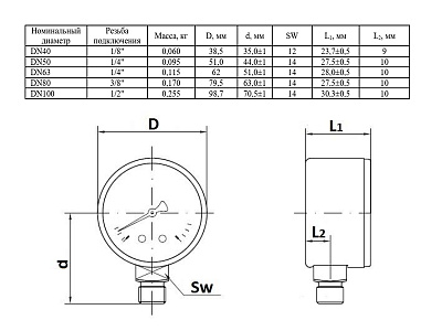 Манометр Watts F+R250 100/16, радиальный