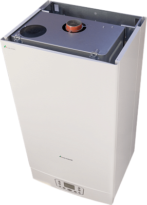 Настенный газовый одноконтурный котел отопления Italtherm TIME 35 FR (301081401)