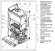 Настенный газовый двухконтурный котел отопления Vaillant atmoTEC plus VUW 240/5-5
