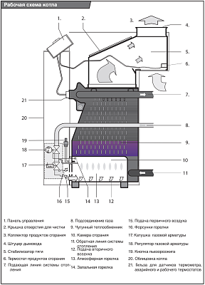 Напольный газовый котел отопления Protherm Медведь 20 TLO
